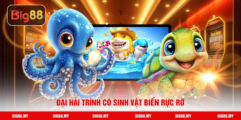 Đại Hải Trình có sinh vật biển rực rỡ