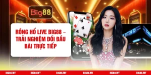 Rồng Hổ Live Big88 – Trải Nghiệm Đối Đầu Bài Trực Tiếp