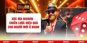 Xóc Đĩa BigWin – Chiến Lược Hiệu Quả Cho Người Mới Ở Big88